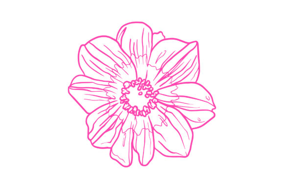Dahlias Coloring Page: A Crafts & Nature Amp Design Review
