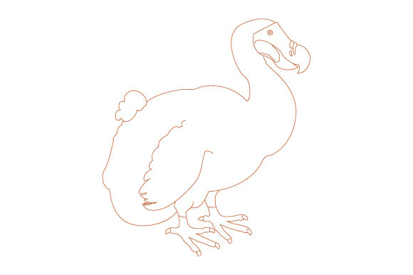 Dodo Coloring Page: A Designer’s Embroidery Review
