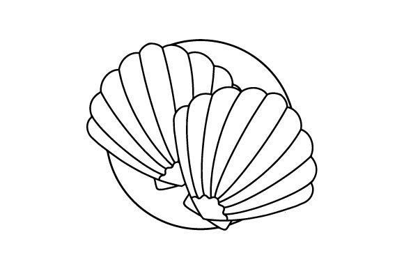 Sea Shells Coloring Page for Nature Amp Crafts
